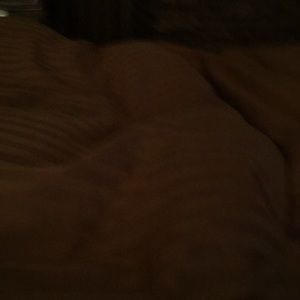 Meet your Posher, Judy